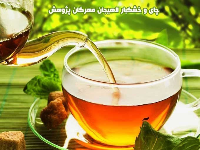 تهیه و پخش چای سنتی لاهیجان و بادام آستانه مهرگان پژوهش در آمل