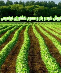 فروش کود و بذر و سموم کشاورزی ابراهیمی در شازند اراک