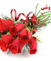 گل سرای بن سای در شیراز
