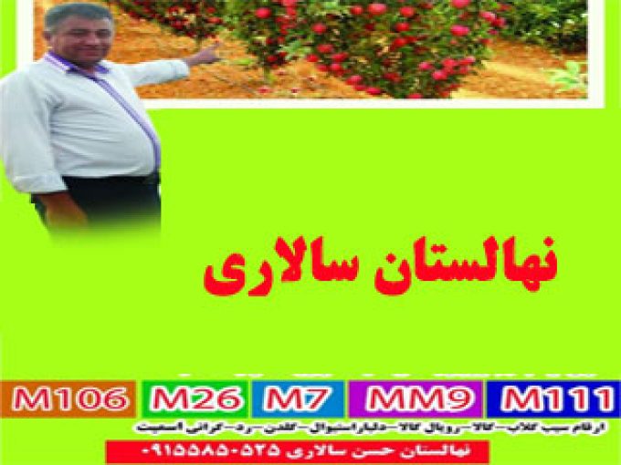 نهالستان سالاری در آشخانه خراسان شمالی 09155850525