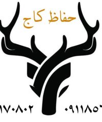 تولید و فروش انواع حفاظ شاخ گوزنی و بوته ای غلام پور کاج در بابل مازندران