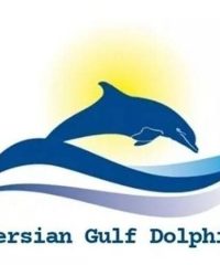 قایق سازی دلفین خلیج فارس در بندرعباس