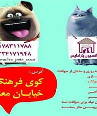 پانسیون حیوانات خانگی پارادایس در بندر عباس