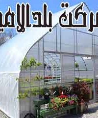 شرکت بلدالامین ساخت گلخانه نقد و اقساط  در بوشهر