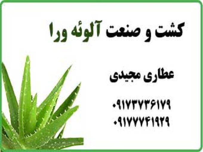 عطاری مجیدی کشت و صنعت گیاهان داروئی آلوئه ورا در بوشهر
