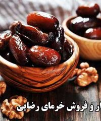 فروش خرمای کبکاب و زاهدی درجه یک رضایی در بوشهر
