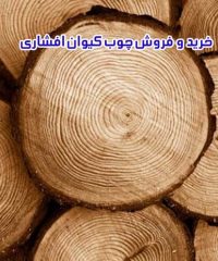 خرید و فروش چوب کیوان افشاری در دهاقان اصفهان