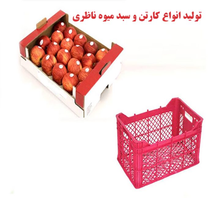 تولید‌کننده انواع کارتن و سبد میوه چهارده کیلویی و هجده کیلویی ناظری در اصفهان