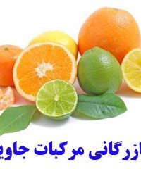 خرید و فروش مرکبات ممتاز و صادراتی جاوید در فارس