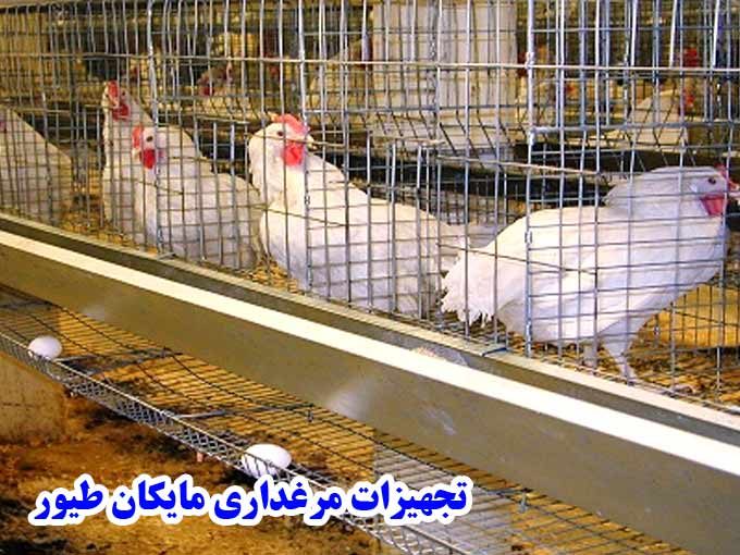 خرید و فروش قفس مرغ و تجهیزات مرغداری مایکان طیور در آبگرم قزوین