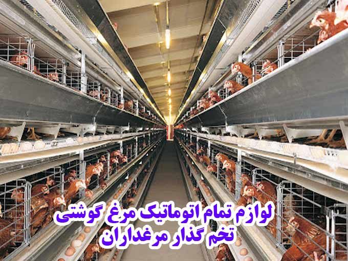 ساخت و فروش قفس تمام اتوماتیک مرغ تخم گذار مرغداران در قزوین