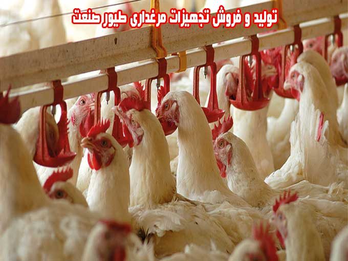 تولید و فروش تجهیزات مرغداری طیور صنعت در قزوین