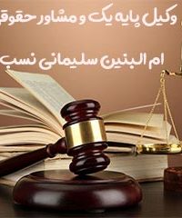 وکیل پایه یک و مشاور حقوقی ام البنین سلیمانی نسب در گرگان