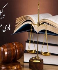 دفتر وکالت وکیل هادی میرزائی در هرمزگان