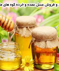 تولید و فروش عسل عمده و خرده کوه های مانجد در ایلام