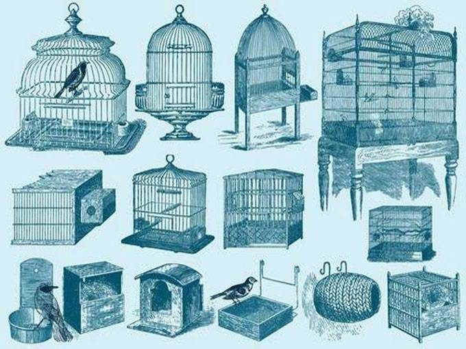 ساخت و فروش انواع قفس پرنده فرهنگ در اصفهان