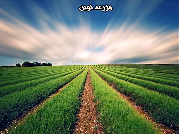 خرید و فروش و توزیع انواع نهاده سم و کود کشاورزی اسدی در مزرعه نوین در گلپایگان اصفهان