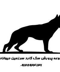 مجموعه پرورش سگ گارد و نگهبان سرزمین حیوانات در کرج