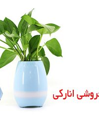 گلدان فروشی انارکی در کرمان