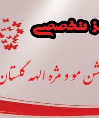 مرکز تخصصی اکستنشن مو و مژه الهه گلستان پور در کرمان