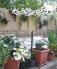 اقامتگاه بومگردی باغ شریف در بافت کرمان