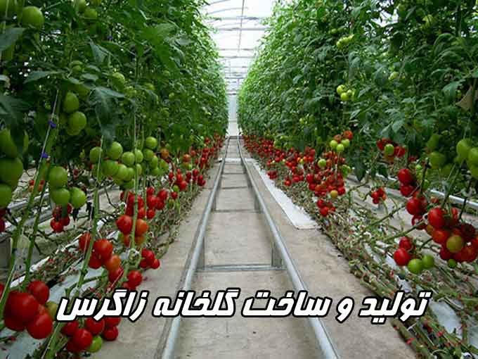 تولید و ساخت گلخانه زاگرس در کرمان