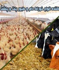 کارخانه خوراک دام و طیور پلت و پلشت غلامی در روانسر کرمانشاه