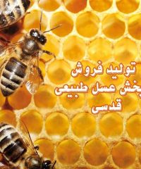 تولید فروش و پخش عسل طبیعی قدسی در خلخال