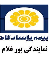 نمایندگی بیمه پاسارگاد پور غلام در مشهد