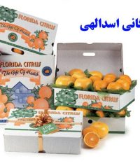 خرید فروش صادرات میوه و مرکبات سورتینگ محصولات کشاورزی بازرگانی اسدالهی در مازندران