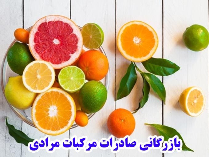 بازرگانی صادرات مرکبات مرادی در قائمشهر مازندران