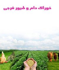 تهیه و پخش خوراک دام و طیور فرجی در میاندوآب آذربایجان غربی