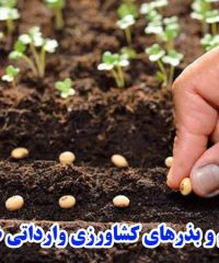 پخش سموم و بذرهای کشاورزی وارداتی ضیائی در ارومیه