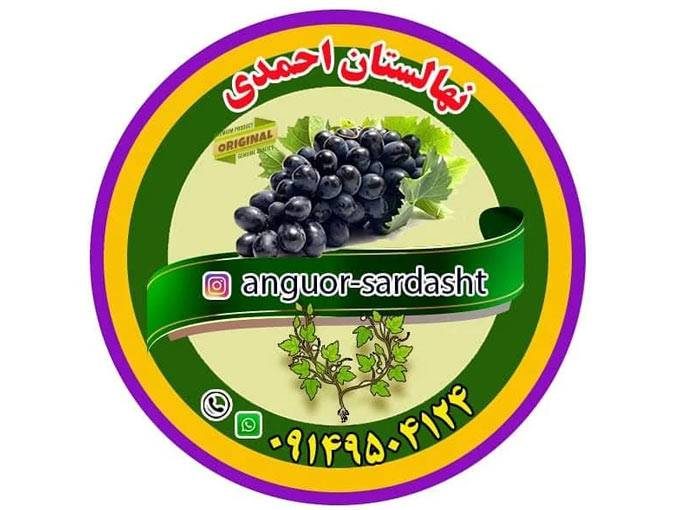 فروش نهال انگور سردشت نهالستان احمدی در سردشت آذربایجان غربی