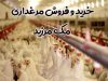 خرید و فروش مرغداری مک مرزید در ساری