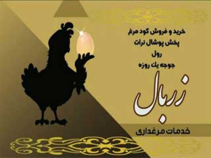 خدمات مرغداری و پوشال مرغداری نیما محمودی در مازندران و ساری