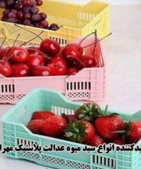 تولیدکننده انواع سبد میوه عدالت پلاستیک مهرابی در اصفهان