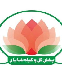 پخش گل و گیاه رز هلندی کرزنتیا لیلیوم و اورینتال شایان در اصفهان