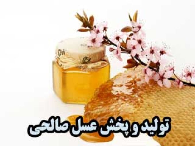 تولید و پخش عسل صالحی در شاهرود