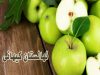 فروش نهال مرکبات و درختچه زینتی کیهانی در شیراز فارس