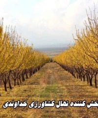 پخش کننده نهال کشاورزی خداوندی در شیراز
