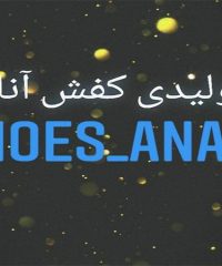 تولیدی کفش ورزشی آنام در تبریز