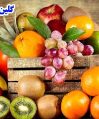 سورتینگ صادرکننده و تامین کننده عمده میوه گلین فروت در تالش گیلان