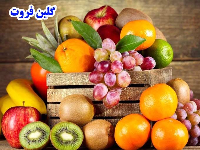 سورتینگ صادرکننده و تامین کننده عمده میوه گلین فروت در تالش گیلان