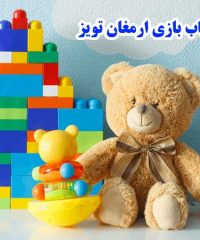 تولیدی اسباب بازی ارمغان تویز در تهران