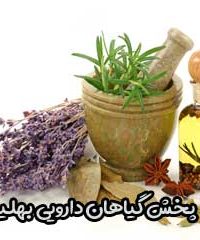 پخش گیاهان دارویی بهلیمو در شیراز