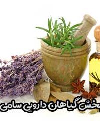 پخش گیاهان دارویی سامی دارو در شیراز