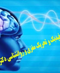 مرکز نوروفیدبک و تحریک مغزی و روانشناسی دکتر فریدی در تهران