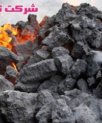 تولید ذغال چینی و فشرده شرکت گلها در تهران