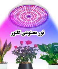 تولید فروش و پخش چراغ رشد گیاه و نور مصنوعی گلنور در تهران